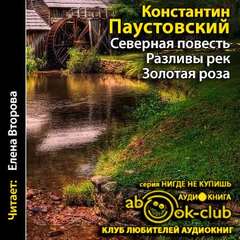 Паустовский Константин - Разливы рек. Золотая роза