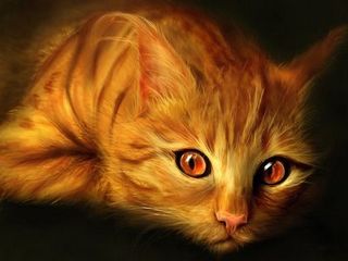 Тарасава Юстасия - Золотая кошка