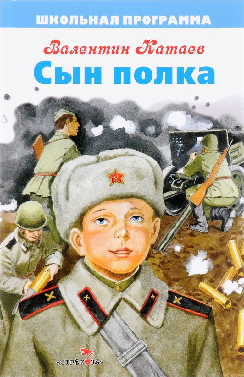 Другие произведения о детях войны. Книга о ВОВ Катаев сын полка.